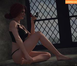 The Witcher photo #1281