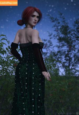 The Witcher photo #1285