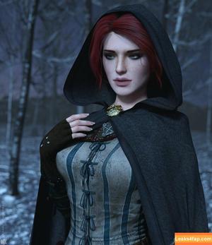 The Witcher photo #1293