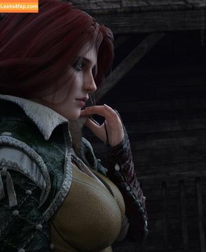 The Witcher photo #1295