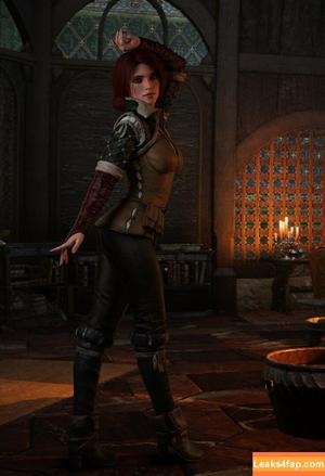 The Witcher photo #1428