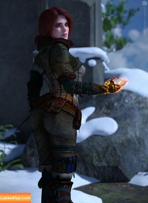 The Witcher photo #1439