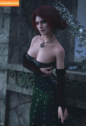 The Witcher photo #1445