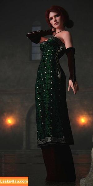 The Witcher photo #1448