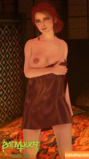 The Witcher photo #1458