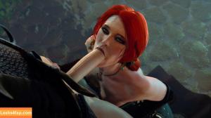 The Witcher photo #1507