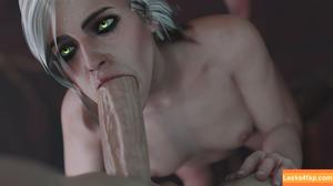 The Witcher photo #1547