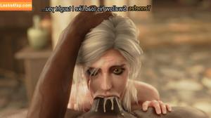 The Witcher photo #1570