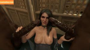 The Witcher photo #1618