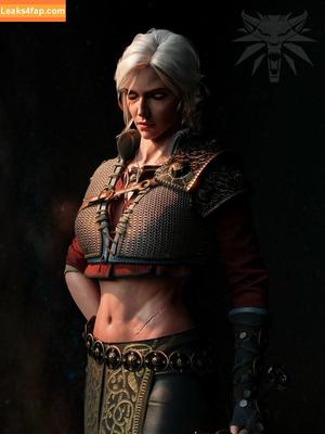 The Witcher photo #1799
