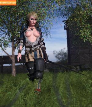 The Witcher photo #1877