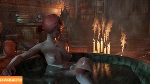 The Witcher photo #1996