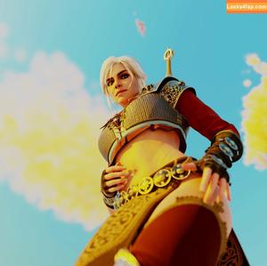 The Witcher photo #2086