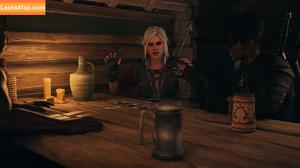The Witcher photo #2103