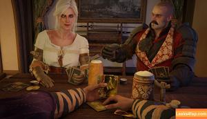 The Witcher photo #2294