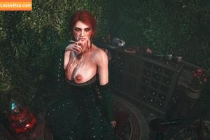 The Witcher photo #2479