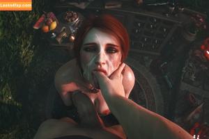 The Witcher photo #2488