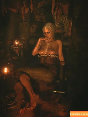 The Witcher photo #2489