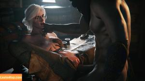 The Witcher photo #2492