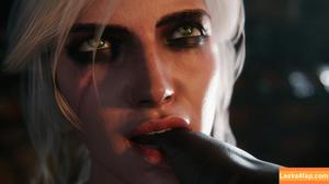 The Witcher photo #2494