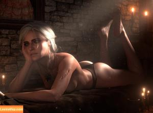 The Witcher photo #2536