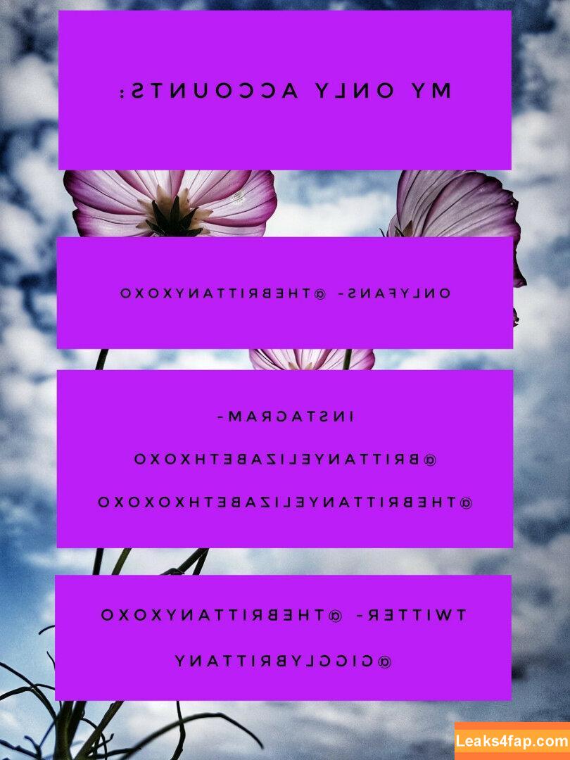 thebrittanyxoxo / brittanyelizabethxoxo leaked photo photo #0152