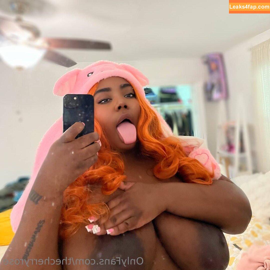 thecherryrose / thecherryrose_ leaked photo photo #0057