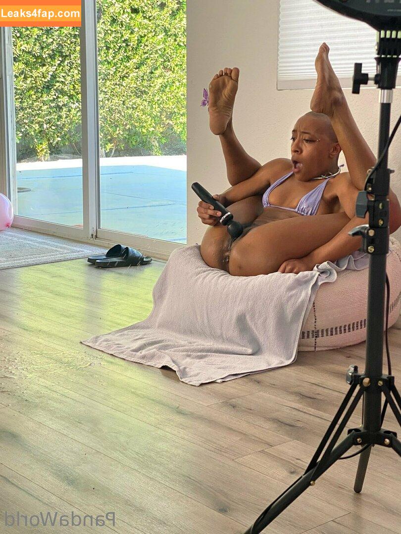 thecleopanda /  leaked photo photo #0070