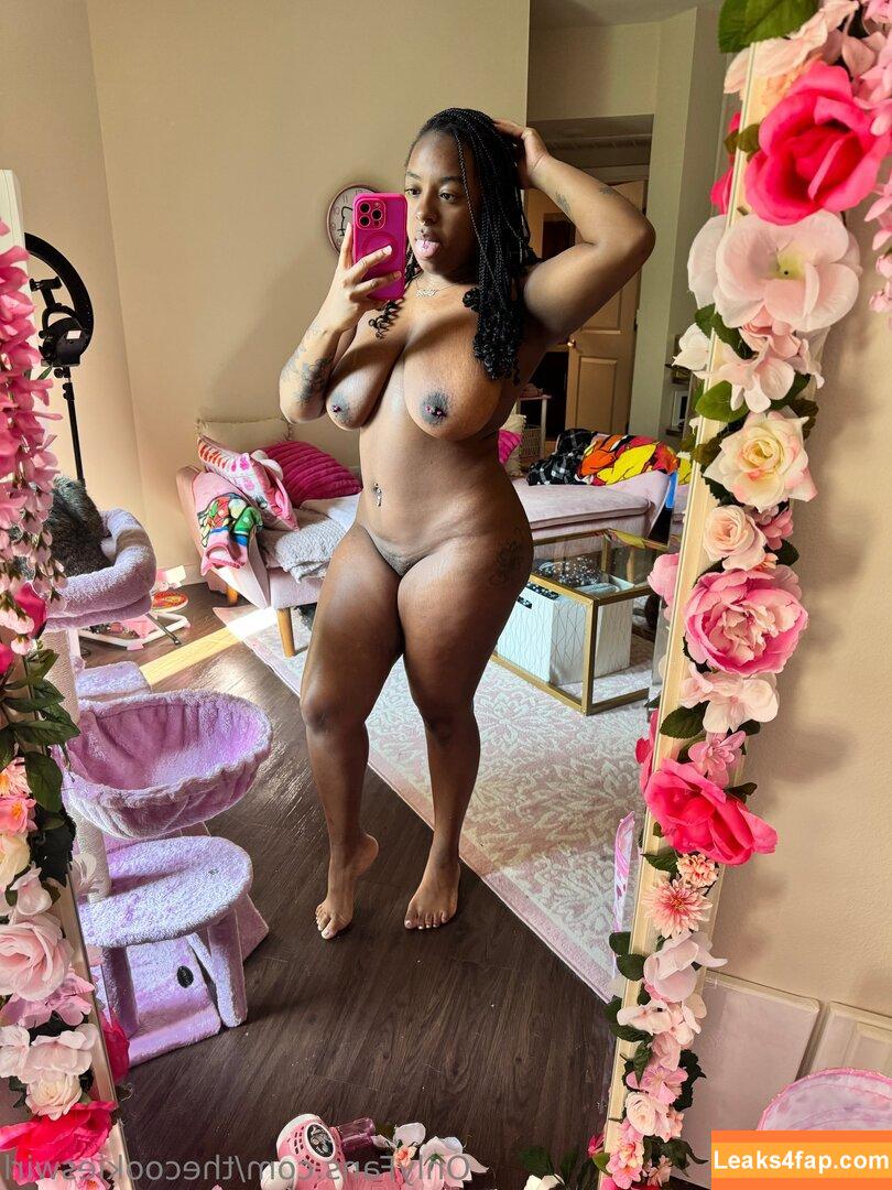 thecookieswirl /  leaked photo photo #0100
