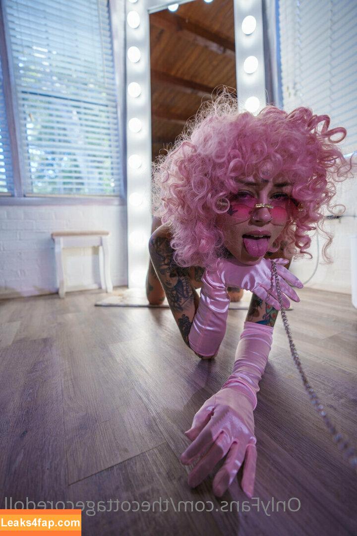 thecottagecoredoll / Lilvixxen666 / Spencer Ashton / cottagecore.doll leaked photo photo #0098