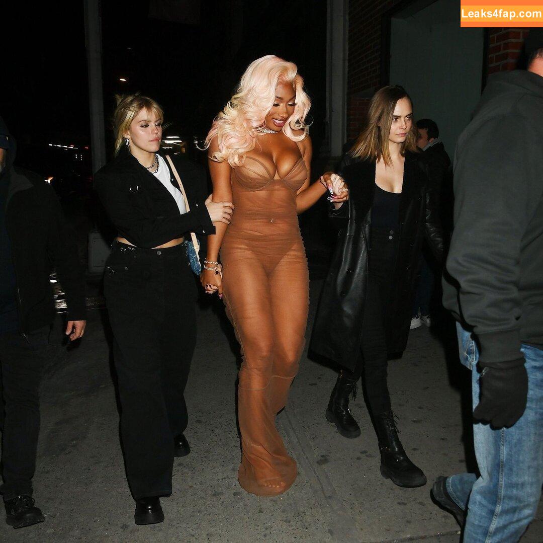 theestallion /  leaked photo photo #0022
