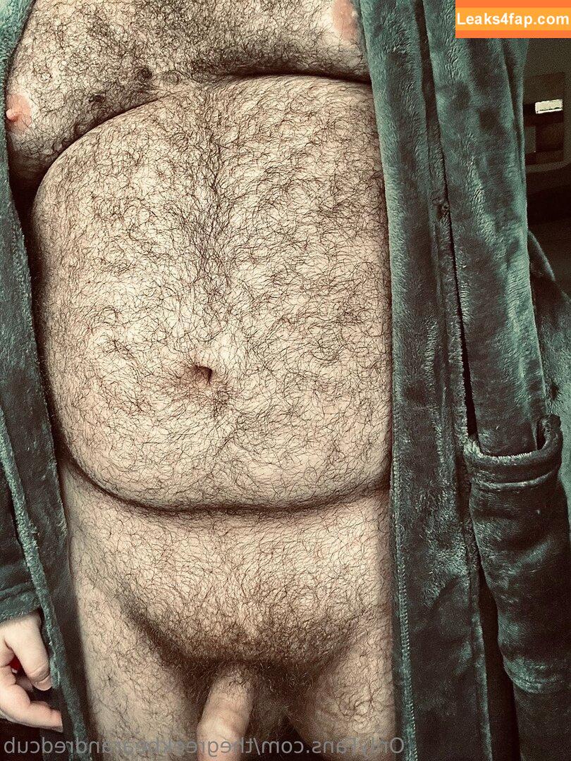 thegreekbearandredcub / thegreekbeard leaked photo photo #0003