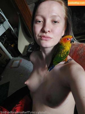TheNerdandherBird photo #0015