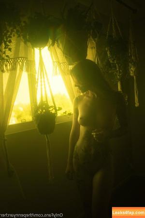 thepennyarcher photo #0085