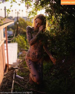 thepennyarcher photo #0142
