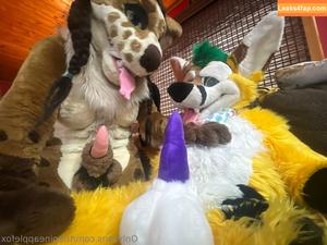 thepineapplefox photo #0080