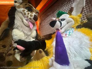 thepineapplefox photo #0083