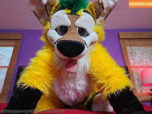 thepineapplefox photo #0087