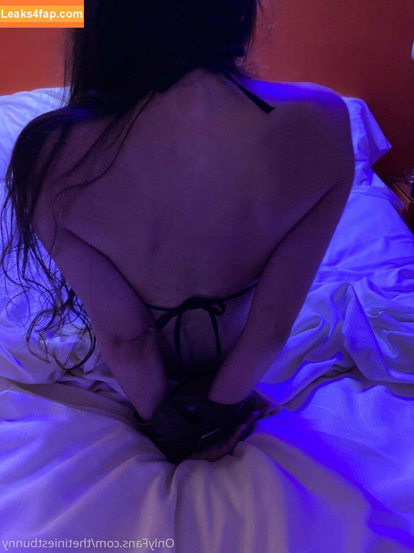 thetiniestbunny / thetiniestbunnyx leaked photo photo #0301