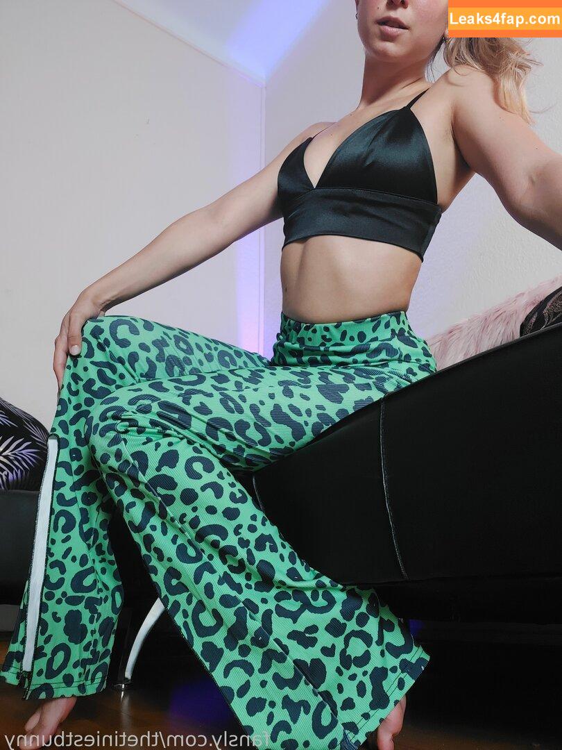 thetiniestbunny / thetiniestbunnyx leaked photo photo #0524