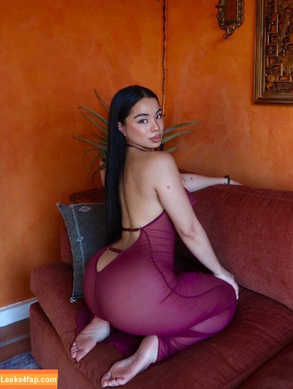 Thick Asian Women / Big Ass Asians / PAAG / curvyasianbaddies leaked photo photo #0010