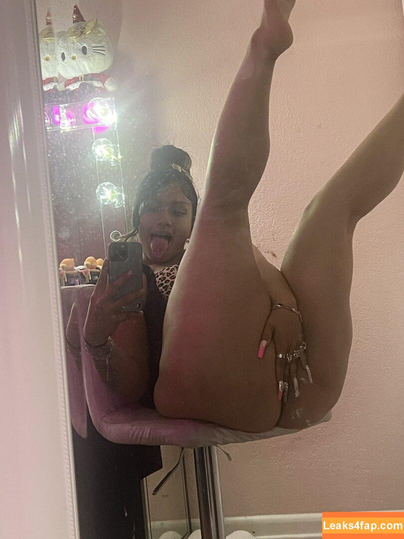 ThickNessa / realthicknessa / thickness_is_my_sickness2.0 leaked photo photo #0013