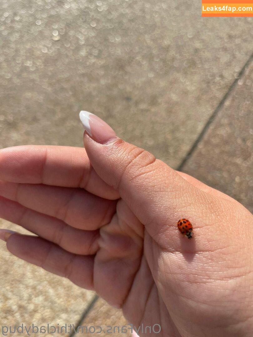 thicladybug / thiccladybug leaked photo photo #0031