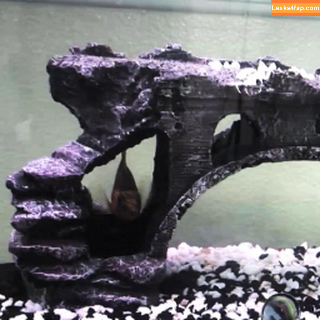 Tiffany Tyler / TiffanyTylerXxX / fishiebug слитое фото фото #0124