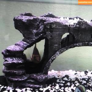 Tiffany Tyler фото #0124