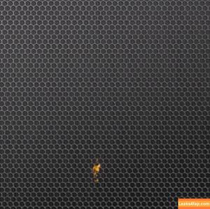 Tiffany Tyler фото #0358