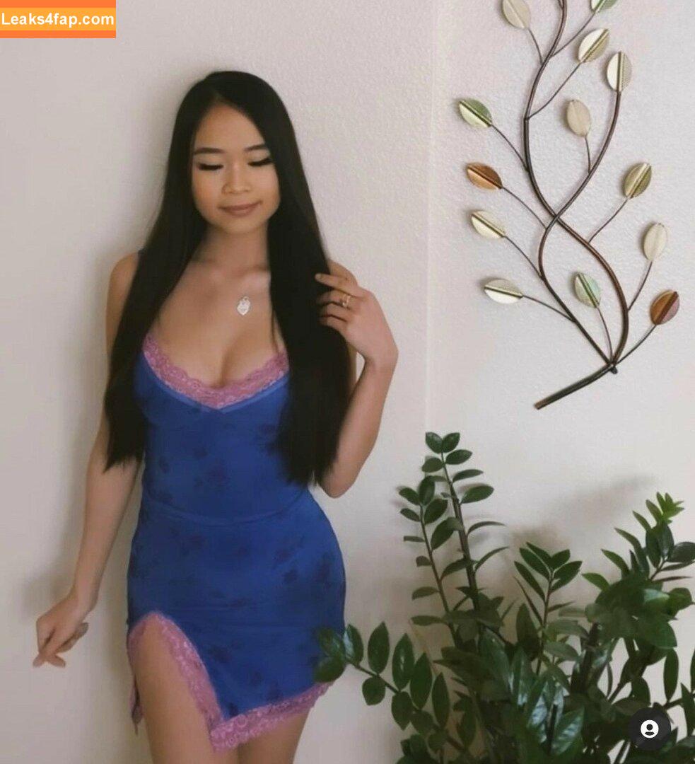 tiffanyxhoang / itstiffanysworld leaked photo photo #0047