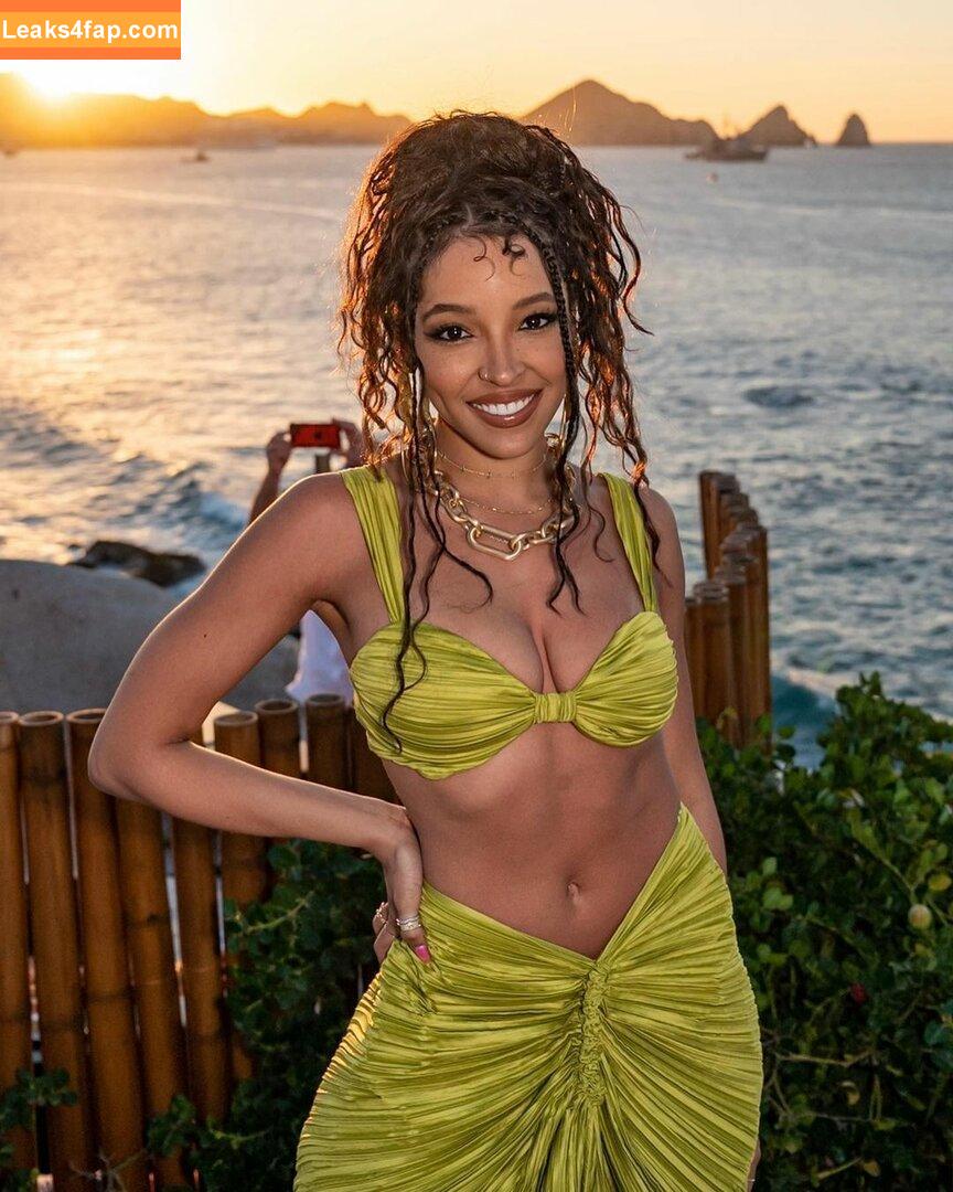 Tinashe / https: / slimred_20 / tinashenow leaked photo photo #0129