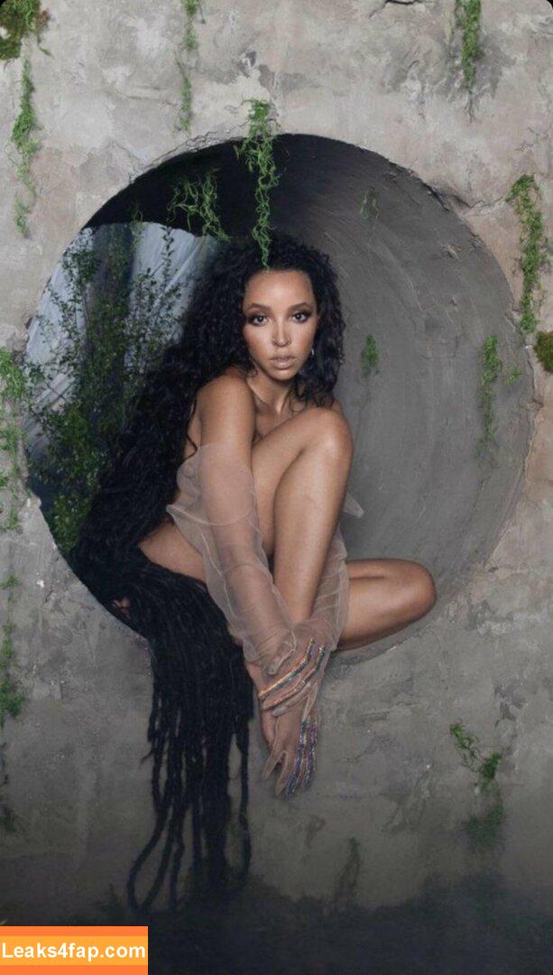 Tinashe / https: / slimred_20 / tinashenow leaked photo photo #0156