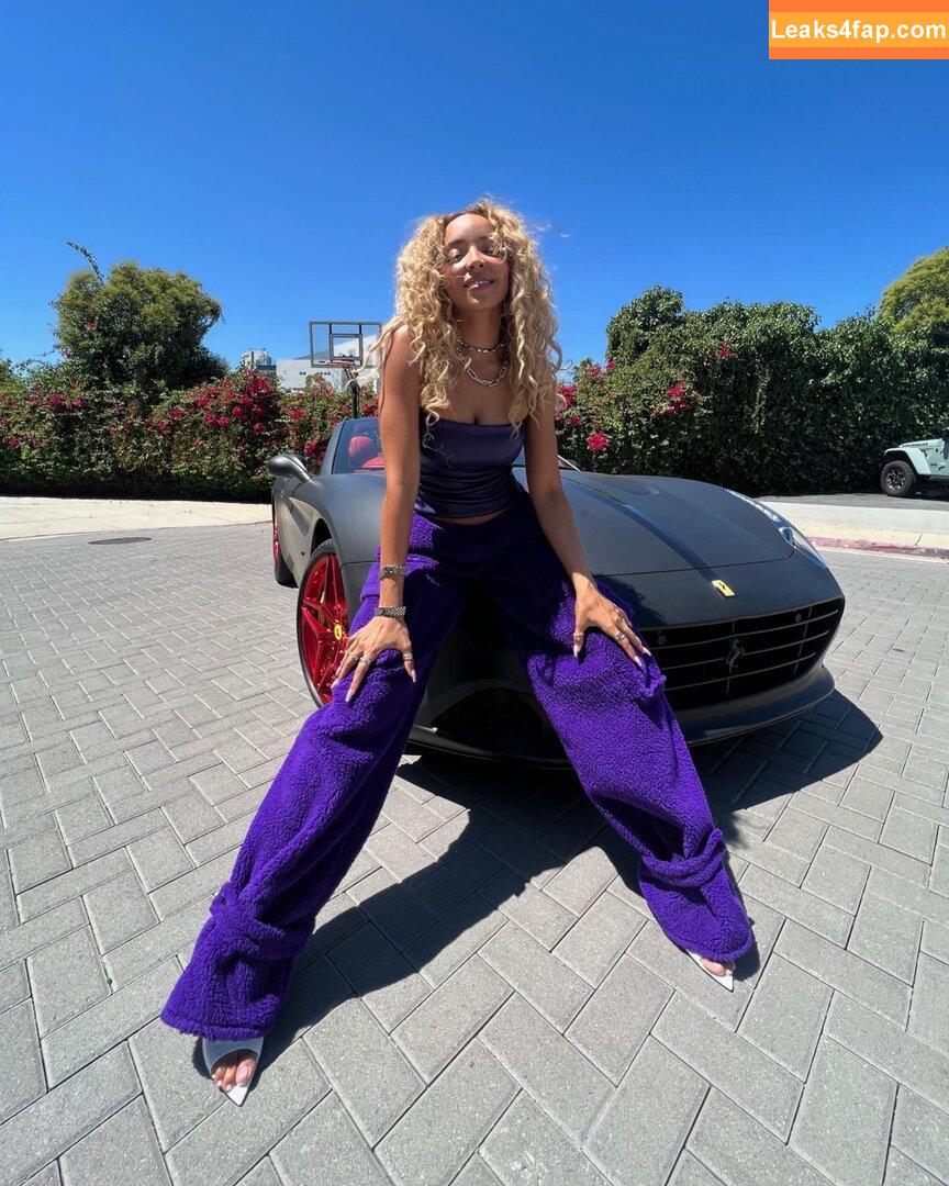 Tinashe / https: / slimred_20 / tinashenow leaked photo photo #0203